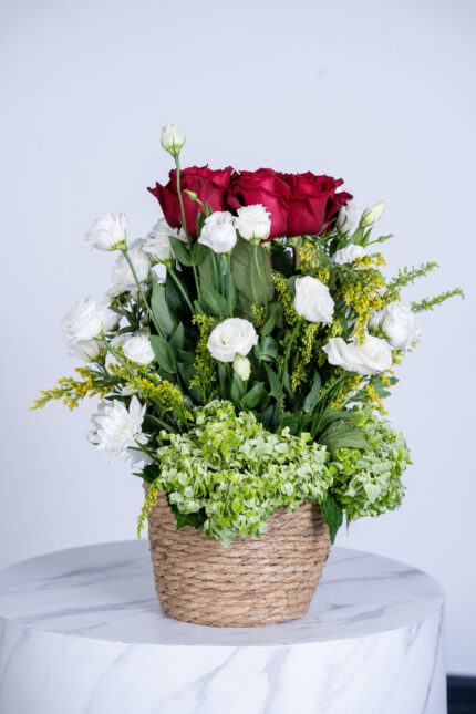 Red Rose, Soledaster, Vesiayanthus & Green Hydrangea Basket